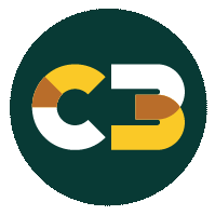 C 3